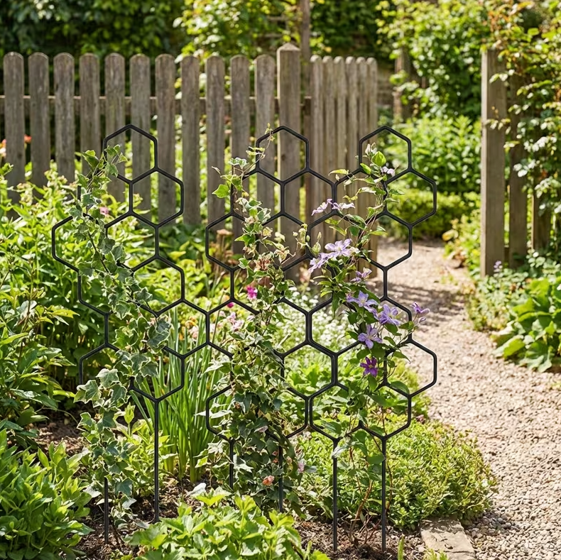 ClimbGrid